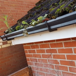Gutter cleaning - Essential Autumnal property maintenance